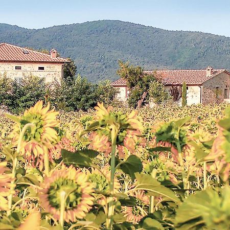 Apartmán Tulipano Pievescola Exteriér fotografie